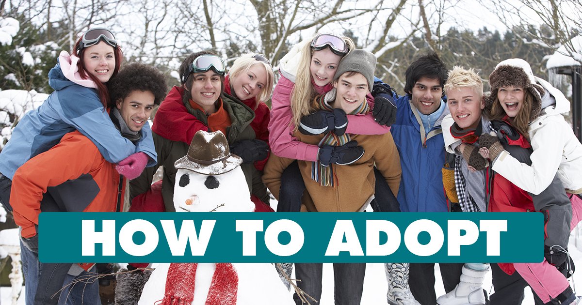 CanadaAdopts's tweet photo. MT @ontarioadopts: Start your adoption journey with our #HowToAdopt sessions. Get educated about the adoption process in Ontario. We have three sessions for March. 18th #Mississauga, 20th Webinar, & 21st #Toronto. https://t.co/fgwCyhCHs5 https://t.co/EKYXBiApJP #adoption