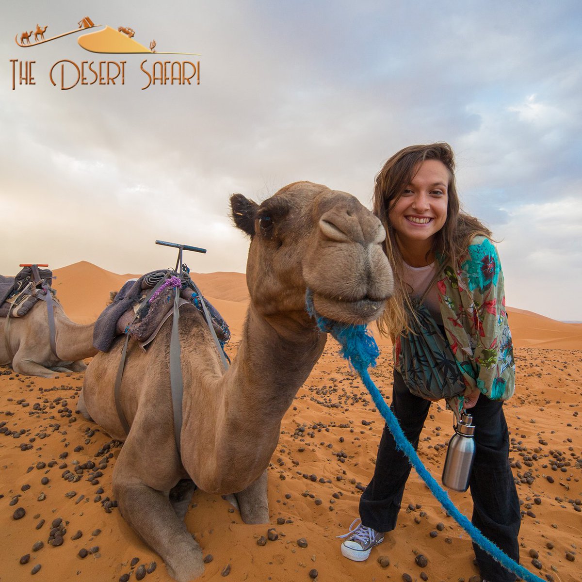 TheDesertSafari's tweet photo. Beauty is power; a smile is its sword.
.
.
#adventure #escape #desert #desertexperience #experience #purelifeexperiences #wanderlust #simplepleasure #silence #girls #camel #dubai #animal #nature #dubaidesert #love #happy #loveanimals #desertsafaridubai #thedesertsafari https://t.co/EH2U3mXSSI