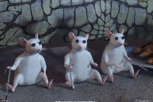 YaaaBoyJB's tweet photo. An exclusive look from inside the referee locker room during halftime of the Championship game. #MECTourney https://t.co/Fuqn8dUTC4