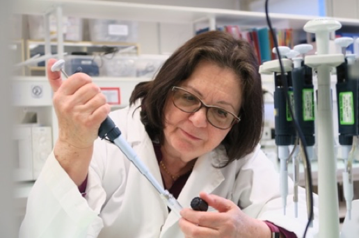 Martine Caroff, DSc présentera la thématique « Structure Physicochimique des LPS: Diversité et Hétérogénéité » aux Journées A3P "Pyrogènes et Endotoxines" les 5 et 6 Juin prochains à Lyon, France