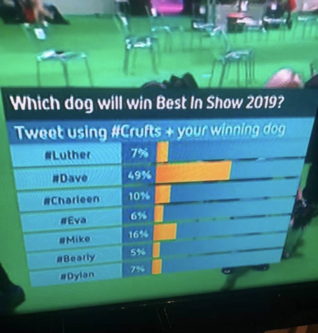 Samihughes80's tweet photo. @Crufts the clear winner was Dave by miles, disappointing for the boxer https://t.co/jEfI5237PZ