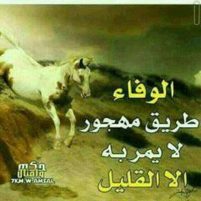 aabbbbbbooodeee's tweet photo. انا طليت ياجماعه https://t.co/kglVWJYtHC