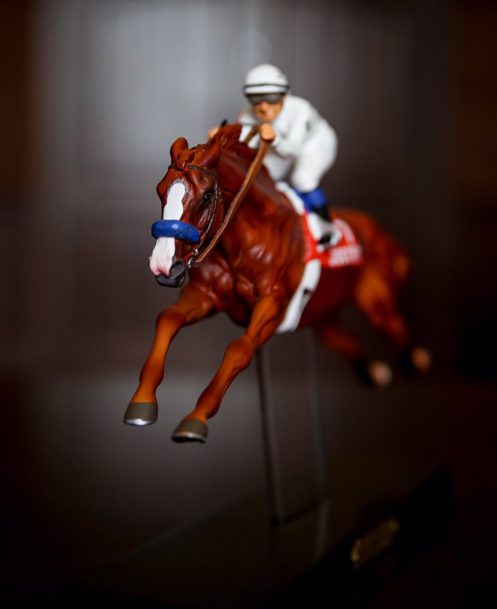 WinStar Farm tweet media