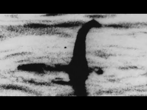 HuckyTalker's tweet photo. Have you ever wondered what the world would be like if the dinosaurs were never wiped out by #plague and/or #armageddon ??? It would be a bit Nessie. #LockNessMonster #punny #puns #dinosaurs https://t.co/kd6fRtsadE