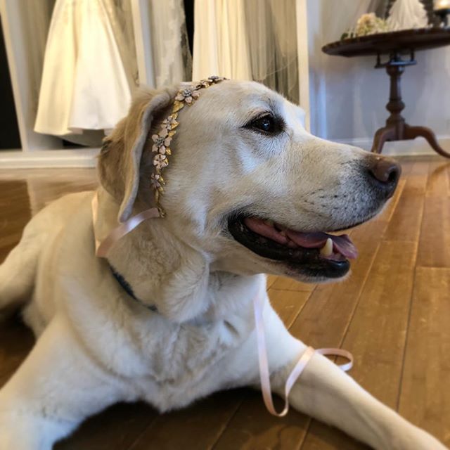 Boho Boston loves these beautiful floral hair vines from @thehouseofmacandzoe, and so do we!!