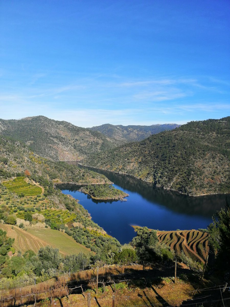 António Oliveira (@antoniomsolive1) on Twitter photo 