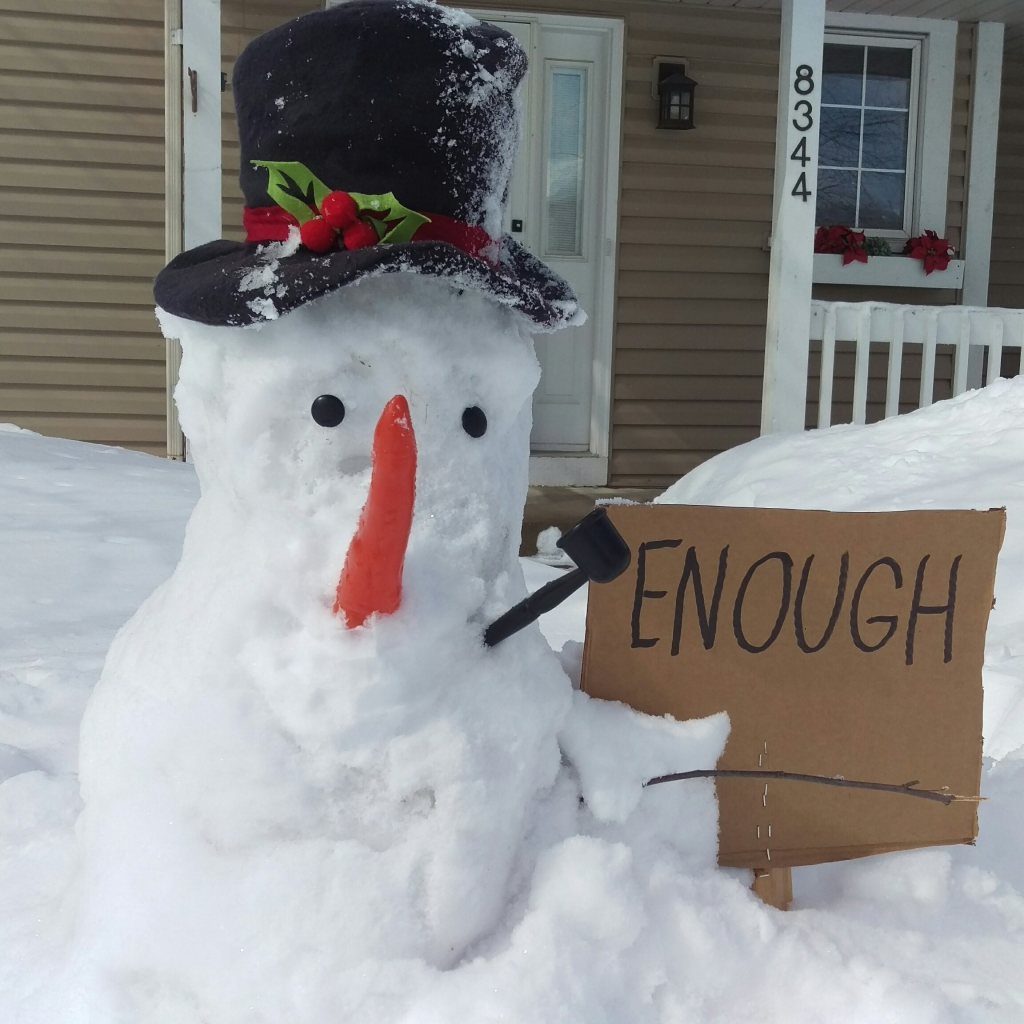 CookiesbyDave's tweet image. Well Said #NeverEnding #Winter #Snowman #Rebel cookiesbydave.com/well-said/