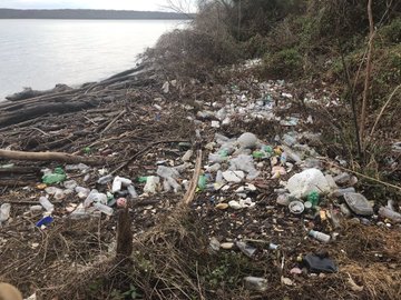 agrandeartedeserfeliz.com - Novo desafio na internet é postar fotos recolhendo lixo: #TrashTag