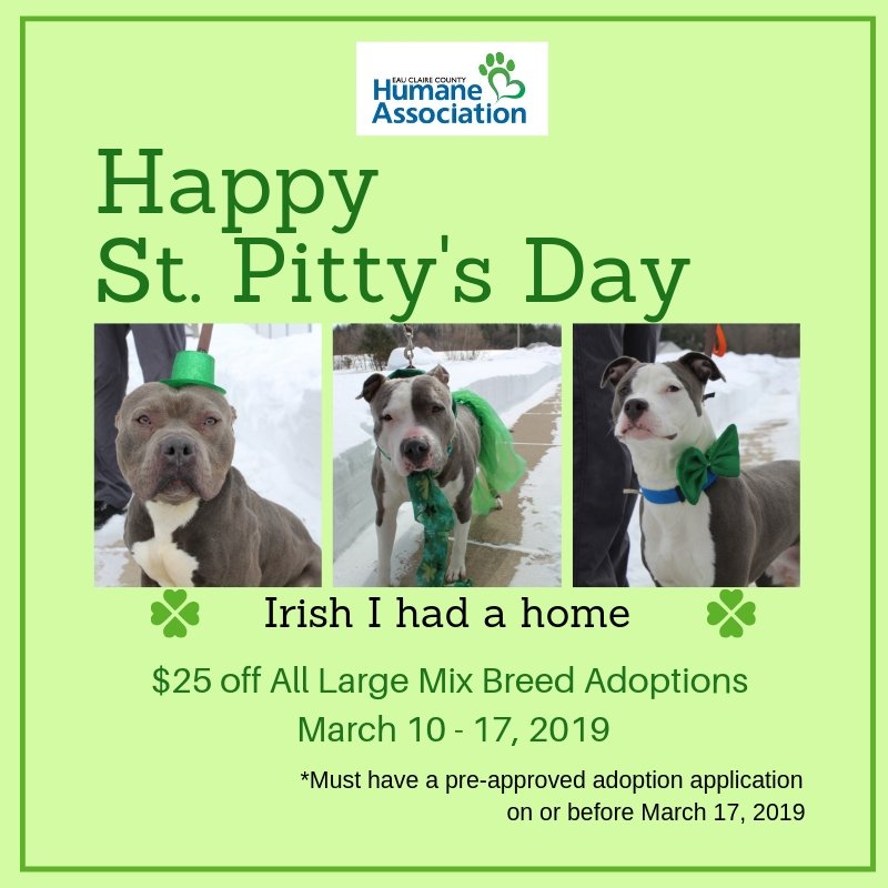 To celebrate St. Pitty's Day, we are offering $25.00 off large mix breed dog adoption fees from March 10 - 17! 
*All adoption applications need to be pre-approved on or before March 17th to receive the $25 discount.