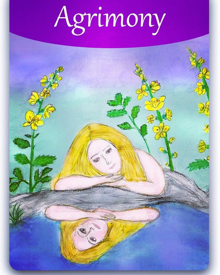 NehaChugh1981's tweet photo. Are you concealing your inner grief behind a facade of a carefree cheerful face. Do you suppress your inner pain and worry about the distractions of the day. Are you jovial but distressed by an argument.  #Agrimony Bach flower remedy heals, as they become inwardly content. https://t.co/Xnqnek555b