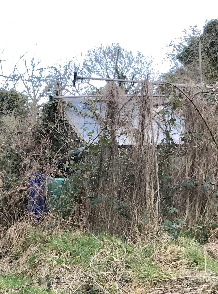 HazelAitkin (@aitkinhazel) on Twitter photo Day 3 at <a href="/LutonJunior/">Luton Primary School</a>’s Forest School in #Chatham Chatham’s #communitypayback team @KSSCRC put in more steps, extended the nature trail and living arches and discovered 2 green houses and an Anderson Shelter! Huge thanks to <a href="/FortLuton/">Fort Luton</a> for yet more chippings 😊#probationworks Day 3 at <a href="/LutonJunior/">Luton Primary School</a>’s Forest School in #Chatham Chatham’s #communitypayback team @KSSCRC put in more steps, extended the nature trail and living arches and discovered 2 green houses and an Anderson Shelter! Huge thanks to <a href="/FortLuton/">Fort Luton</a> for yet more chippings 😊#probationworks