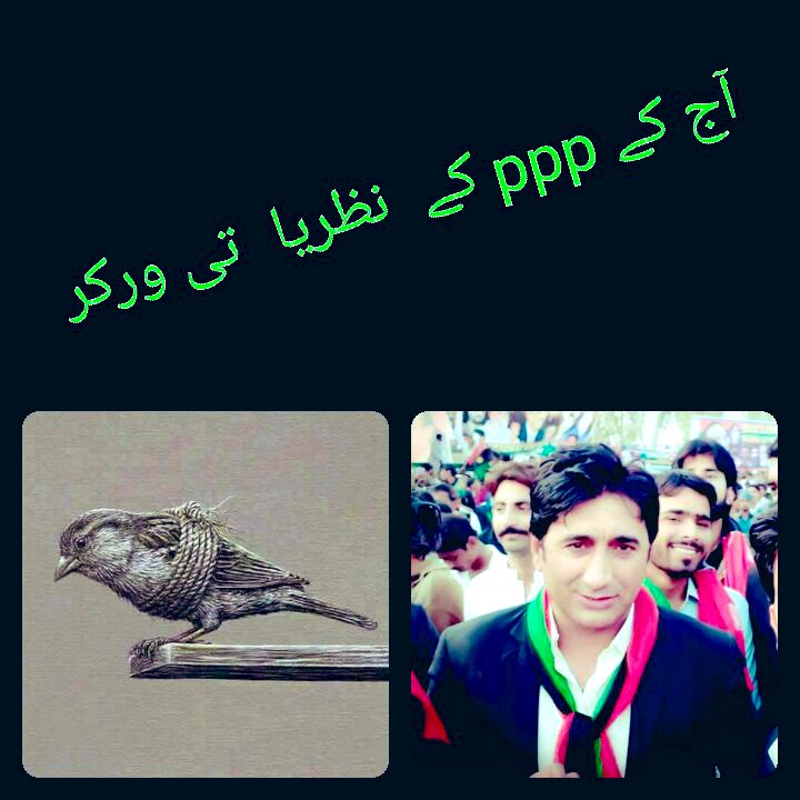 NayakBrohi's tweet photo. @AajizDhamrah @BBhuttoZardari @MattoNida @BakhtawarBZ @FaryalTalpurPk @Mpafaryaltalpur https://t.co/HTCPAShIMl