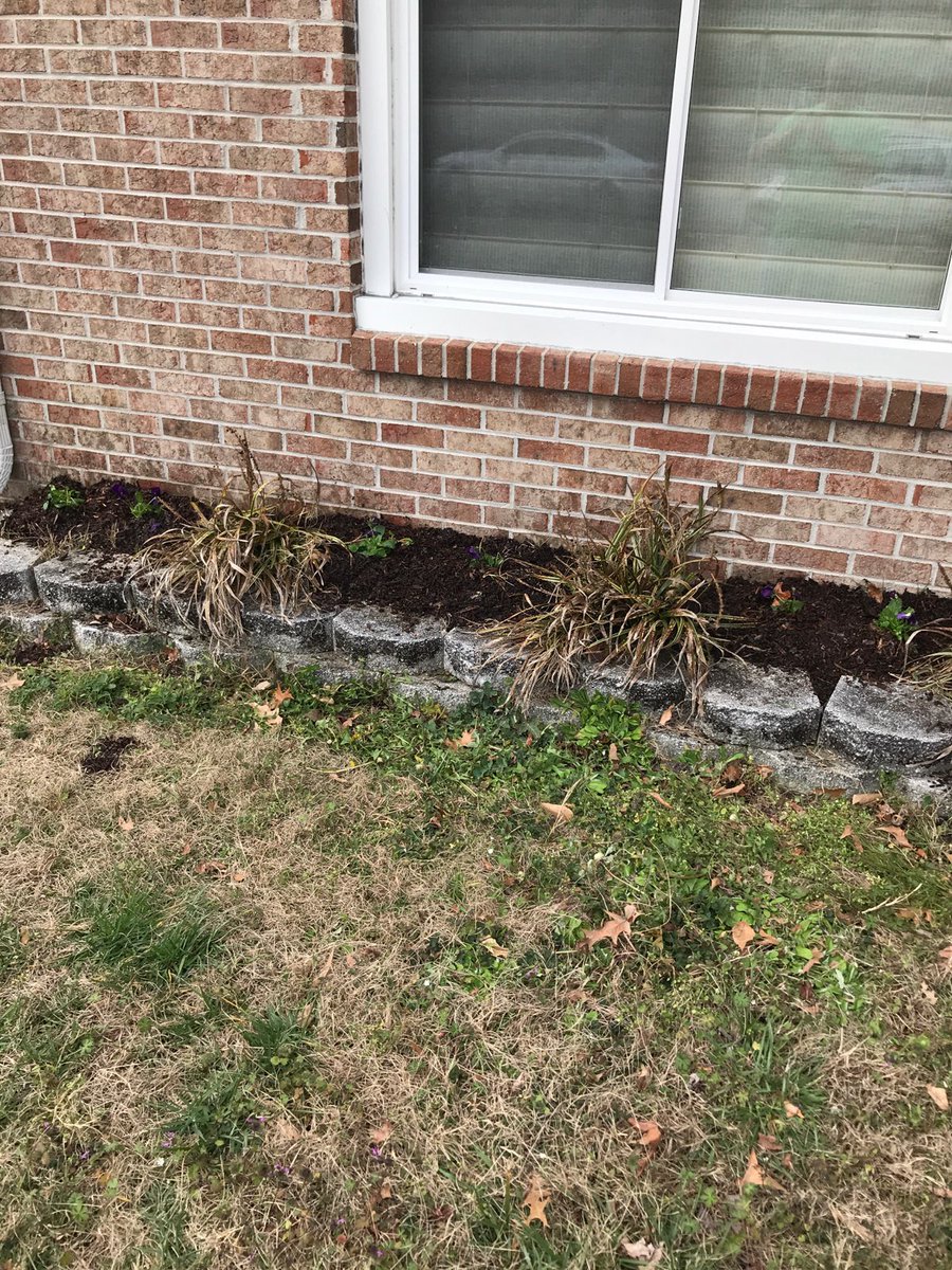 HickoryHighSCA's tweet photo. Thank you Mag Frat! 20 bags of leaves raked, flowers planted and beds mulched for one of our amazing teachers! ❤️ #magfrat #helpinghands #wearehickory https://t.co/9lTgr9ULDc