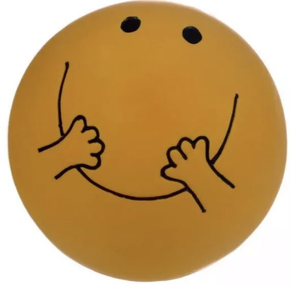 DependablePets's tweet photo. Mr. Men and Little Miss squeaky, extra bouncy balls #dogsofinstagram #dogtoys #SuperSunday #Crufts https://t.co/lwHwMC38Ag