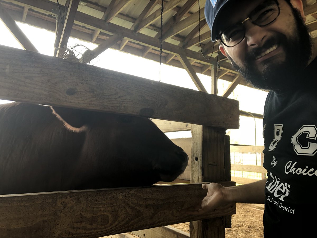 TracyLauOrtiz's tweet photo. Better than the #rodeo: supporting @aliefisd @AliefFfa by buying fresh chickens &amp; getting the opportunity to check out the Ag Barn! Highlight: before/after of @EducatOrtiz after the heifer licked his arm https://t.co/WxJhfMAKxK
