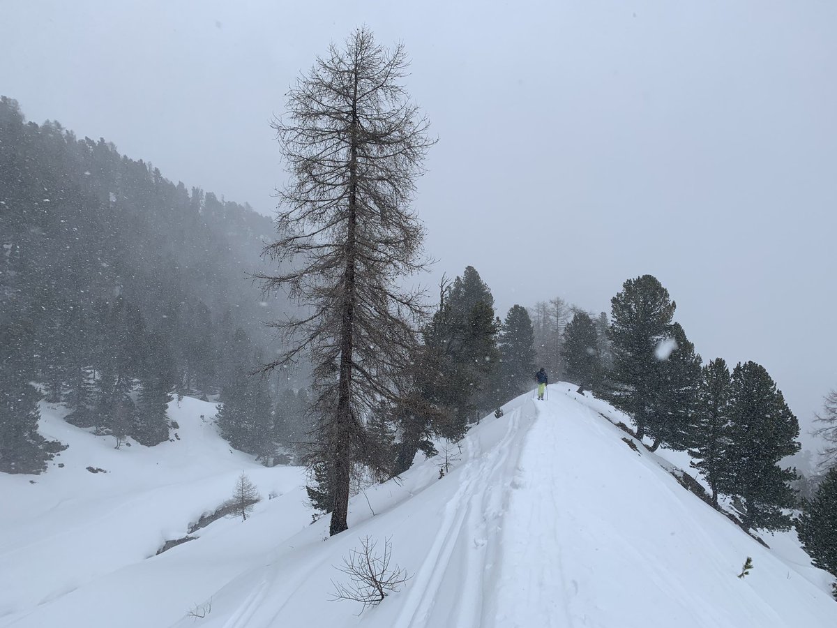 OreeDesCimes's tweet photo. Blizzard et neige dans les Alpes mais les skis de randonnée passent sans souci #valais #skirando https://t.co/lh7kTGRkFK