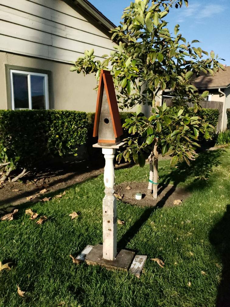 The Birdhouse of Orange (BirdhouseOf) Twitter