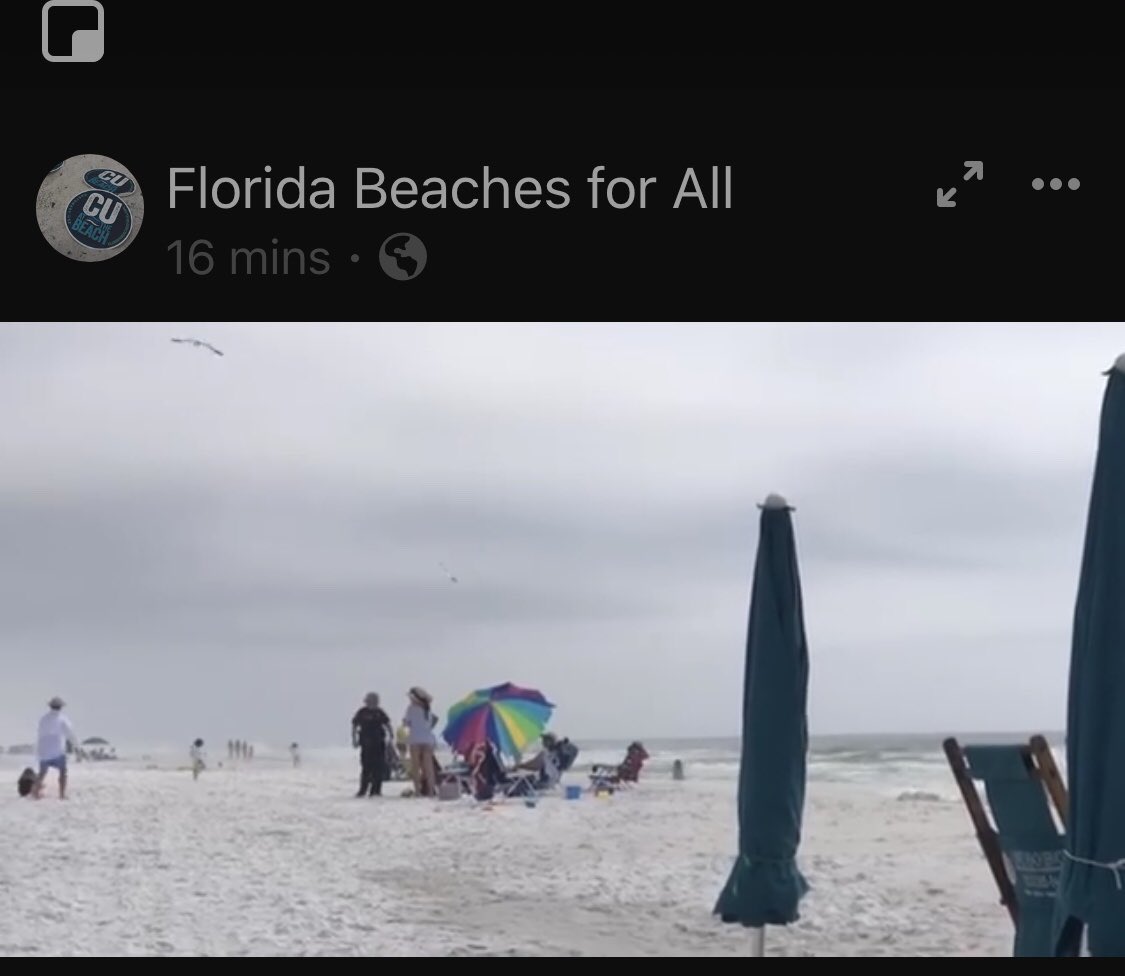 So it begins again. Spring break on 30A. Bring your bail money with your suntan lotion if you want to just sit on the beach.

People getting kicked off already. 👮‍♂️👮‍♂️👮‍♂️