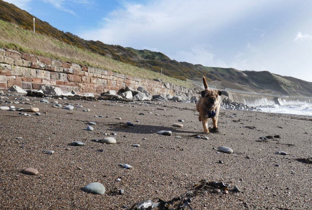 BtCulter's tweet photo. After a snowy morning had a great walk and runabout on the #Cumbria coast this afternoon. #windy #notjustlake #BTPosse https://t.co/KdIyYFMZqU