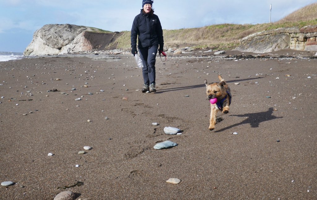 BtCulter's tweet photo. After a snowy morning had a great walk and runabout on the #Cumbria coast this afternoon. #windy #notjustlake #BTPosse https://t.co/KdIyYFMZqU