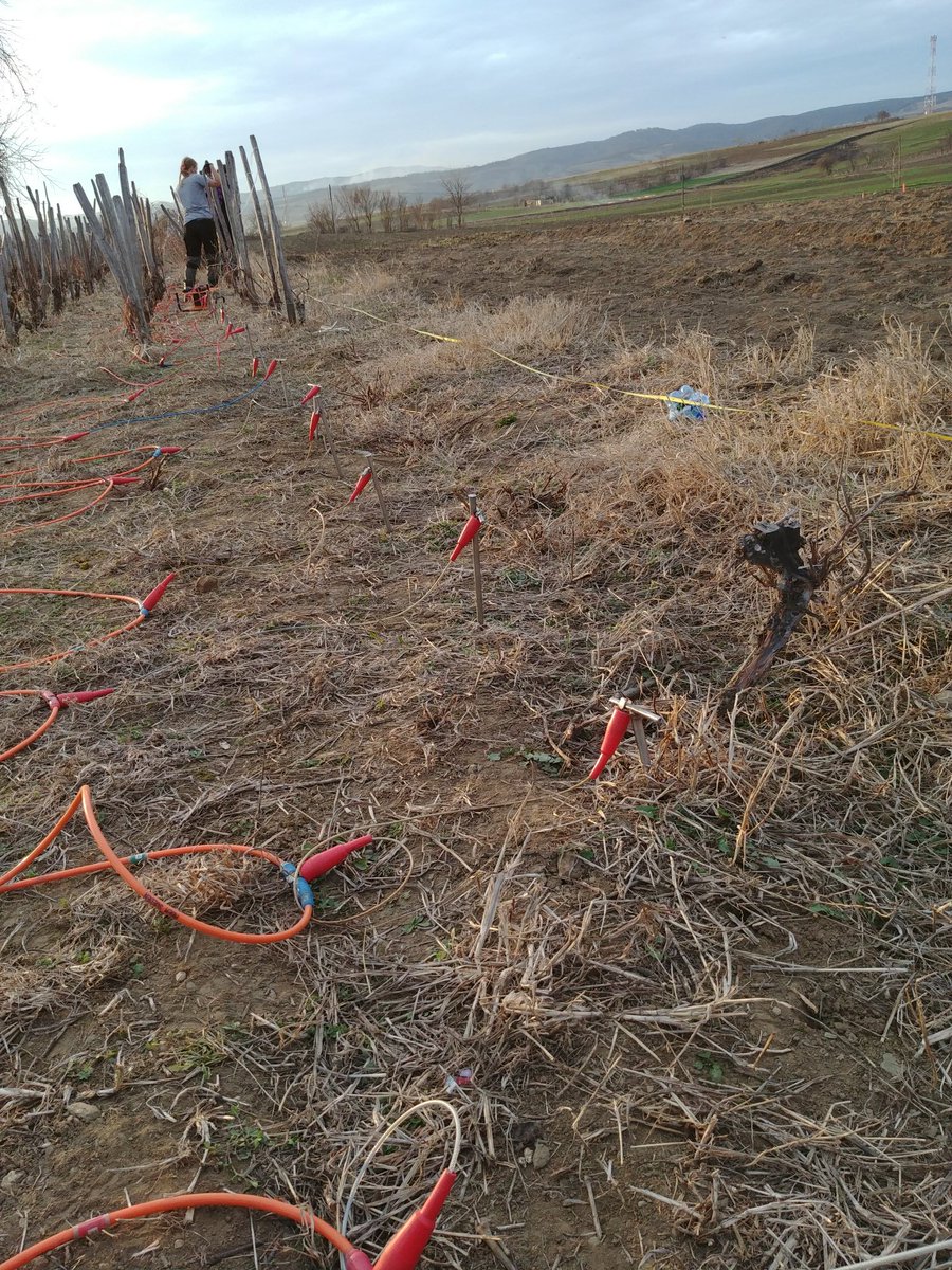 jszarkowska's tweet photo. #ERT with slash-and-burn agriculture in the background - the past meets the future. #PojejenaProject #geophysics #archaeology #Romania https://t.co/uaVMLKaep0