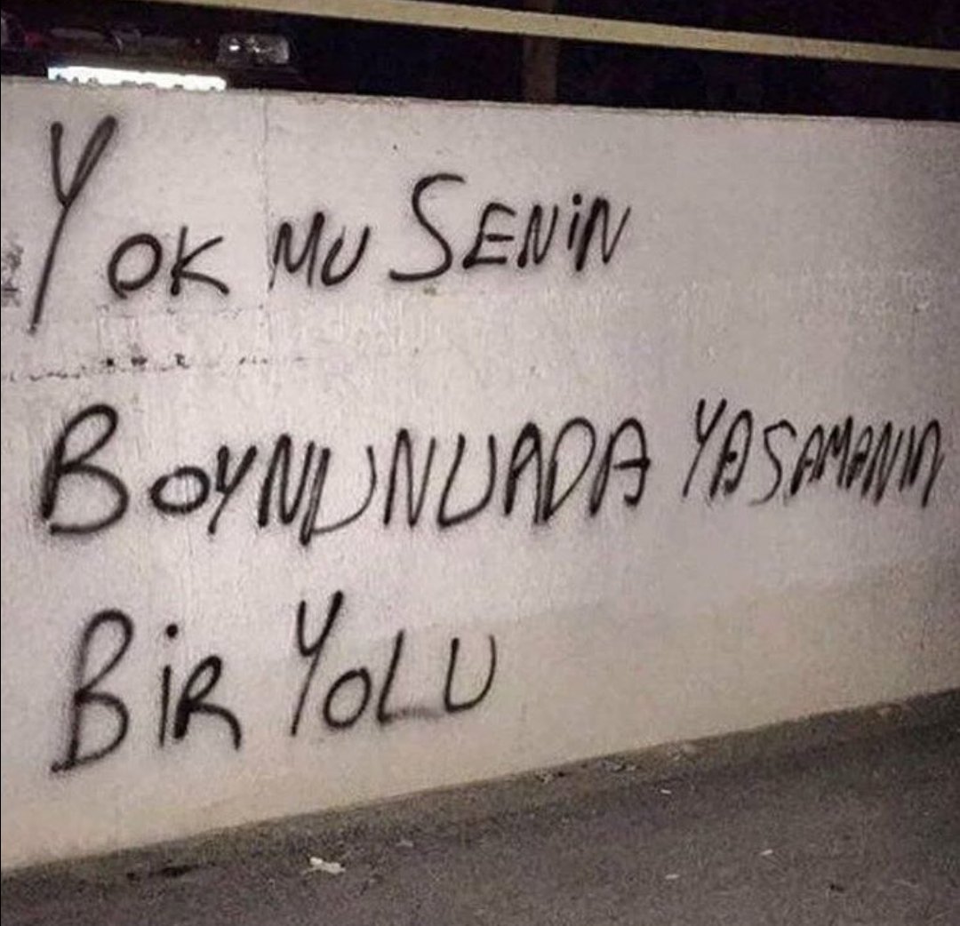 arzu06esra's tweet photo. https://t.co/cXVs2NvWdo