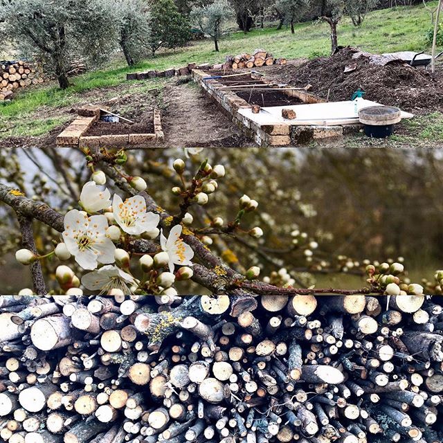 FRYHWERK's tweet photo. let it grow (building the beds) – grow (flourish) – harvest (wood for heating) https://t.co/yv7OLPzLY5 https://t.co/iaD4ZSk5oN