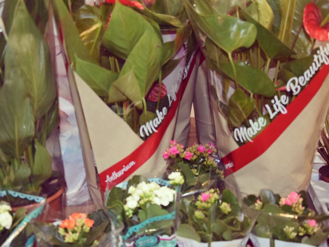 #FeriaAsociacionesMonzón #voluntariado #FeriasMonzón #Huesca #Monzón <a href="/AytoMonzon/">Ayuntamiento de Monzón</a>