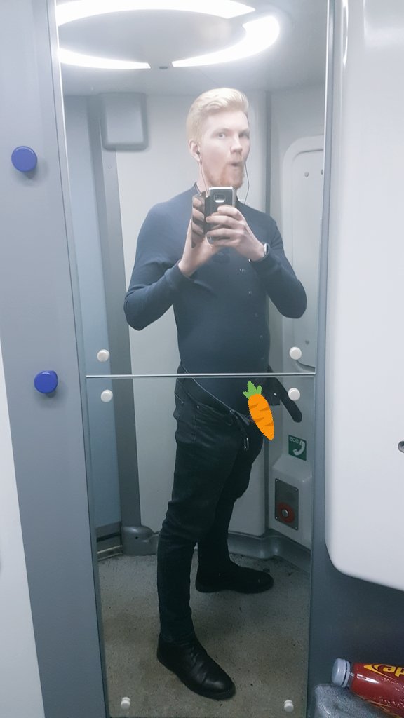 ConkNBonk's tweet photo. The train bathrooms had a full length mirror, so of course I'm gonna show off my union suit on this chilly af train #FancyANibble ๐๐ฅ https://t.co/umhwghRlcR