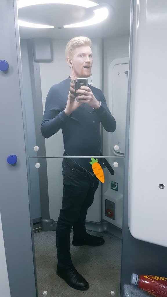 ConkNBonk's tweet photo. The train bathrooms had a full length mirror, so of course I'm gonna show off my union suit on this chilly af train #FancyANibble ๐๐ฅ https://t.co/umhwghRlcR