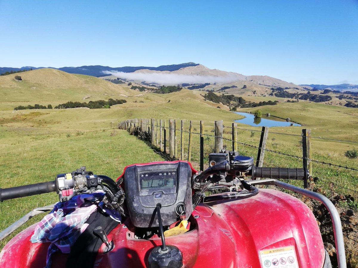 TheWonkyParsnip's tweet image. Great 2 months working in New Zealand 🇳🇿 hiding from the winter! Leave my farm this week heading home to start the Wonky season off via a few pit stops on the way 🇫🇯 🏝! Can’t wait to get planting veg 🍓🍓🍑🍎