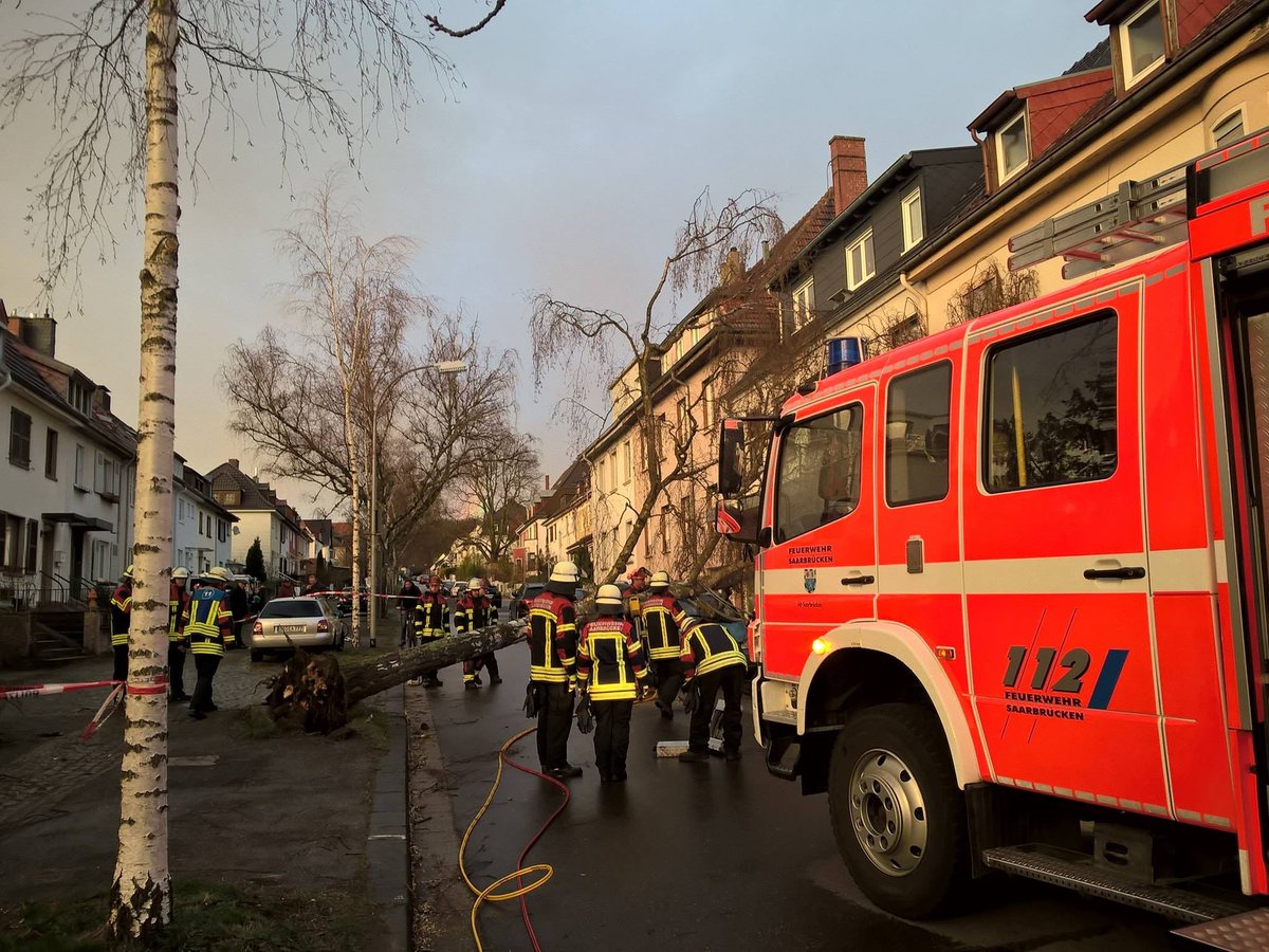 Uwe4OB's tweet photo. In weniger als 3 Wochen:  3. Baum in der gleichen Straße in Saarbrücken umgefallen. Gott sei Dank wurde dieses Mal niemand verletzt. Danke an die Feuerwehr für den Einsatz.
Wie sorgfältig untersucht die Stadt Bäume auf ihre Standfestigkeit. Wir bleiben dran. 
Sicherheit geht vor! https://t.co/drTvAQ1yzF