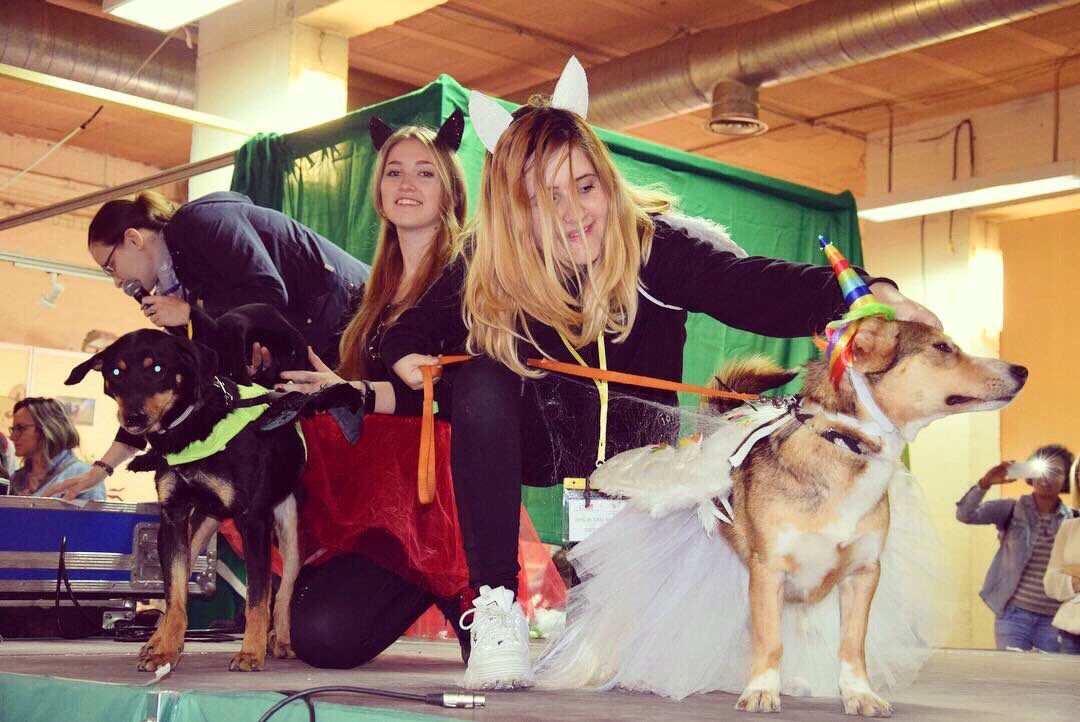 A punto de cerrar la sexta edición, esta feria de <a href="/asociacionesmzn/">feria asociaciones</a> demuestra la buena salud del #voluntariado y del #asociacionismo con más de 40 entidades. Y sino mirad las fotos, ha habido casi de todo: talleres, charlas, exposiciones y muchos recursos útiles.
#FeriasdeHuesca