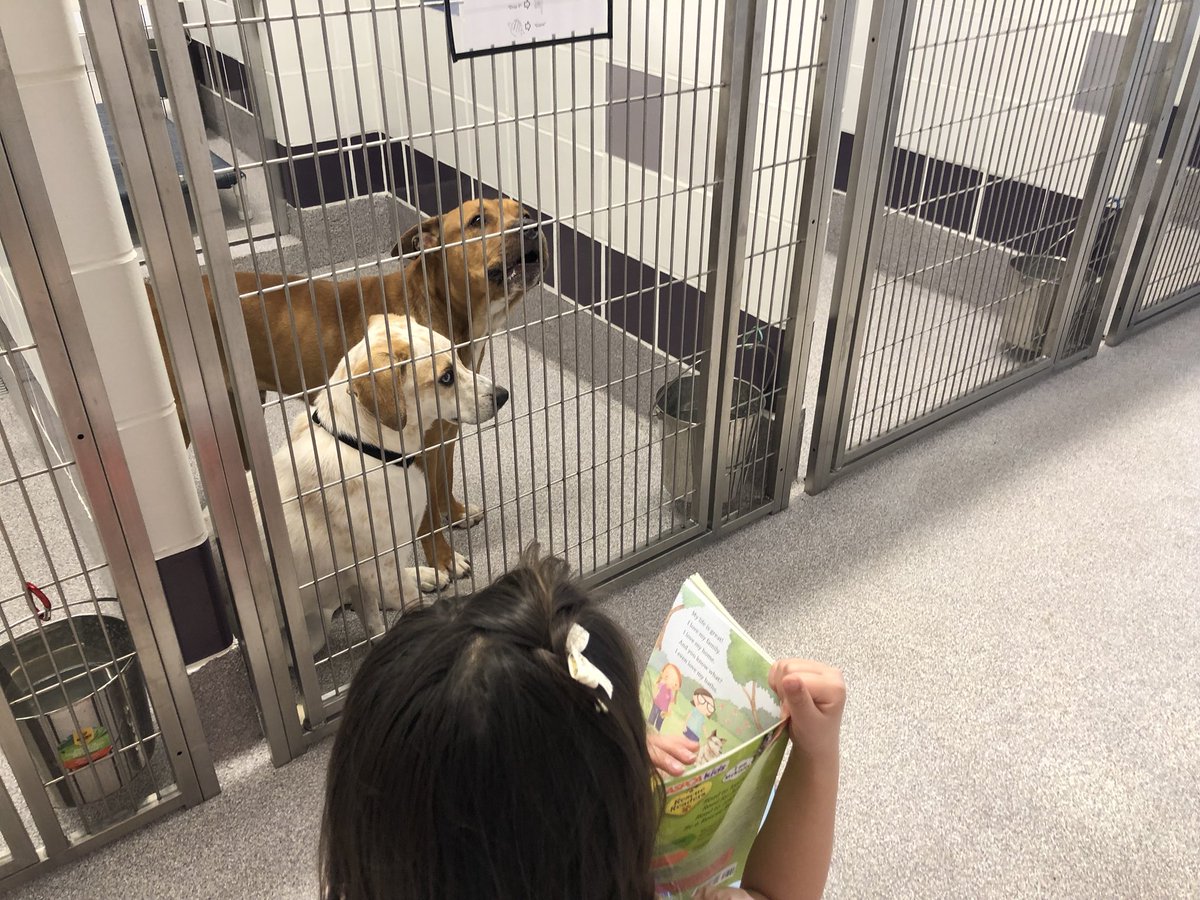 slynnretherford's tweet photo. Be still my heart to see that two of our @TheLearningExp Georgetown students put our #FunWithPhonics readers to special use reading to shelter animals on a Sunday! #TLEGeorgetown #ProjectTogetherness https://t.co/Z3yWY3y7tj
