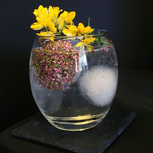 CulpeperTonic's tweet photo. This evening’s G&T is @linlithgowdistillery LinGin paired with our On The Moor tonic water, garnished with a heather blossom ice cube and gorse flowers. Try for yourself in our Crowdfunding 'Gin Adventurer' reward package #ginandtonic #gin #culpepertonic #foraging #lingin https://t.co/I4RKSwQfeK