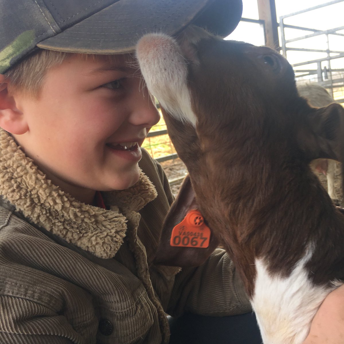 Baby #goats for the win today // bringing them home for <a href="/4H/">4-H</a> projects in a few weeks! #farmkids