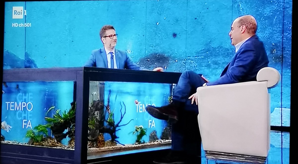 Eccolo! <a href="/nzingaretti/">Nicola Zingaretti</a> in diretta a <a href="/chetempochefa/">Che Tempo Che Fa</a>. Forza segretario!!! #CheTempoCheFa