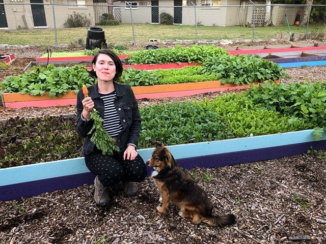 braveharvest's tweet photo. Loving Spring and all its gifts ๐ฟ๐ฅโจ โค๏ธ
:
:
:
:
#eatyourweeds #eatyourgreens #eatyourcolors #eattherainbow #eatmoreplants #plantpower #wholefood #eatyourveggies ##healthyfoodfast #easydinner #dinnerideas #easymeals #urbanfarm #urbanfarming #planttoplate #farmtofork #gardentotโฆ https://t.co/VnFZ7sVIby