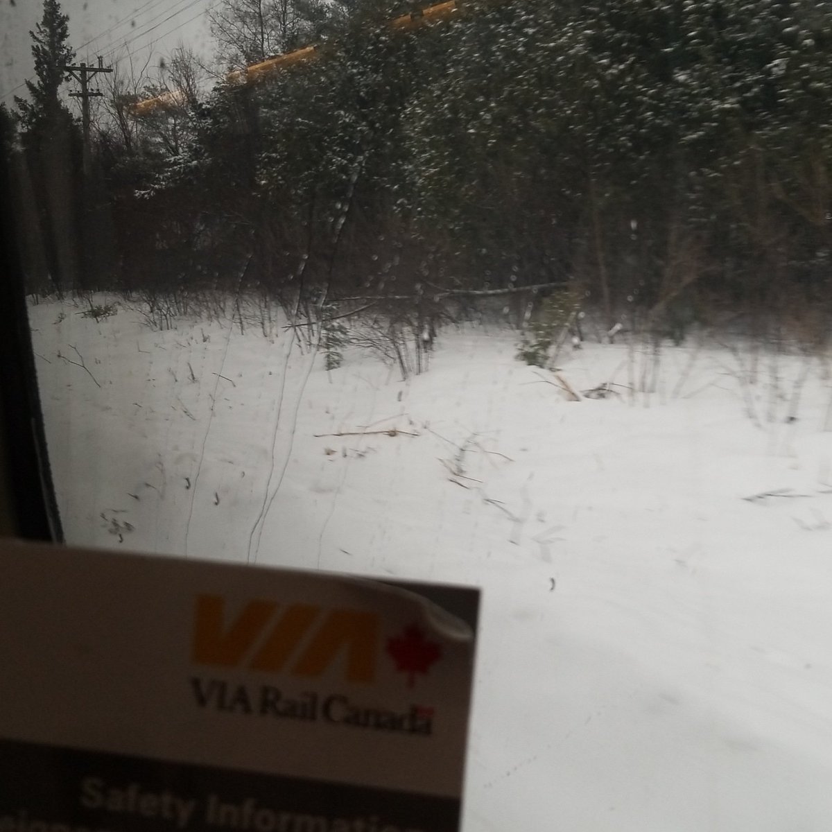 KimberlyYNL's tweet photo. Pretty excited about train ride and seeing Aunt Laurie #viarail #firsttrainride. https://t.co/NoiXBSitki