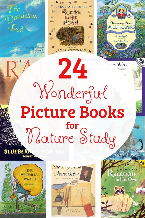 HomeschoolFinds's tweet photo. Finding good #books to go with your #naturestudy is easy if you know where to look!
https://t.co/zdGi0p5JgG https://t.co/UDHKF4z52P