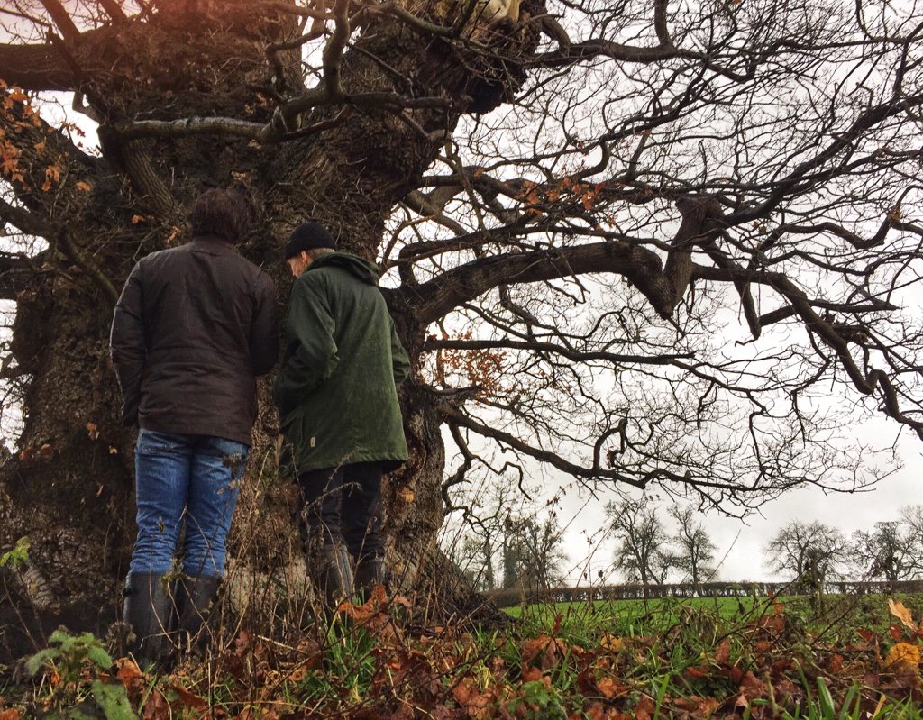 David_Oakes's tweet photo. Before we launch tomorrow’s second episode of @TreesACrowdpod with artist/taxidermist Polly Morgan, here’s a final image of me (from our inaugural interview) with #MarkFrith afront the Great Oak of Nibley Green. His exhibition is still on at @kewgardens - GO! https://t.co/dRHGEjmCmY