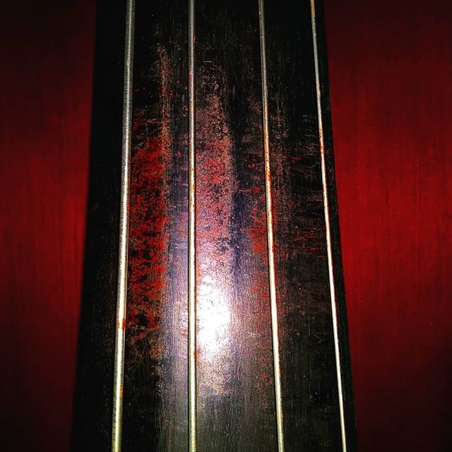 donalpywell's tweet photo. Don't play double bass kids....
#blood #bass #uprightbass #doublebass #doublebassist #pain #bassist #bassception #bassfishing #jazz #smooth #red https://t.co/vIitkTGKvt https://t.co/y2uPE0Y9kL