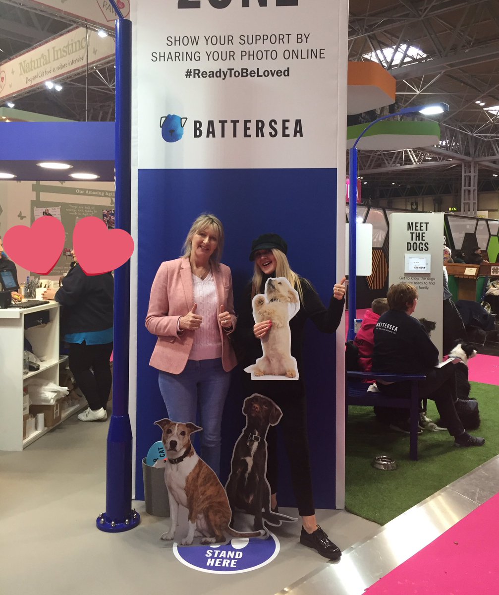 chez44's tweet photo. #crufts #readytobeloved  #batterseadogshome https://t.co/fh1DsPscg6