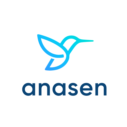 VizeSoftware's tweet image. Here&apos;s our new brand and logo! Check out our new website anasen.com and follow us @AnasenData !