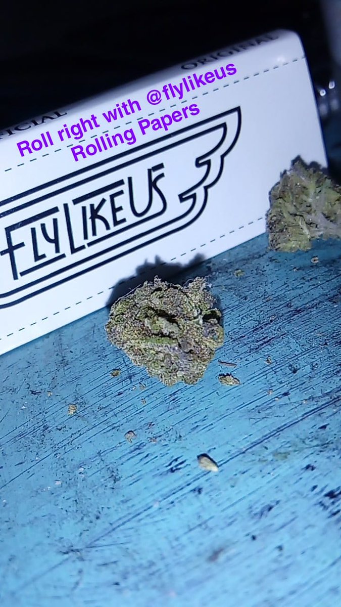 GillyGang_FLU's tweet photo. Hit my DM now &amp;  get your official @flylikeuspapers @illy_gilly_ https://t.co/baIqTmn0jE