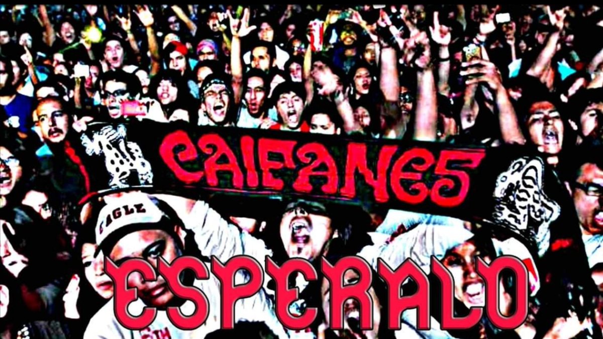 MDLC2011's tweet image. 