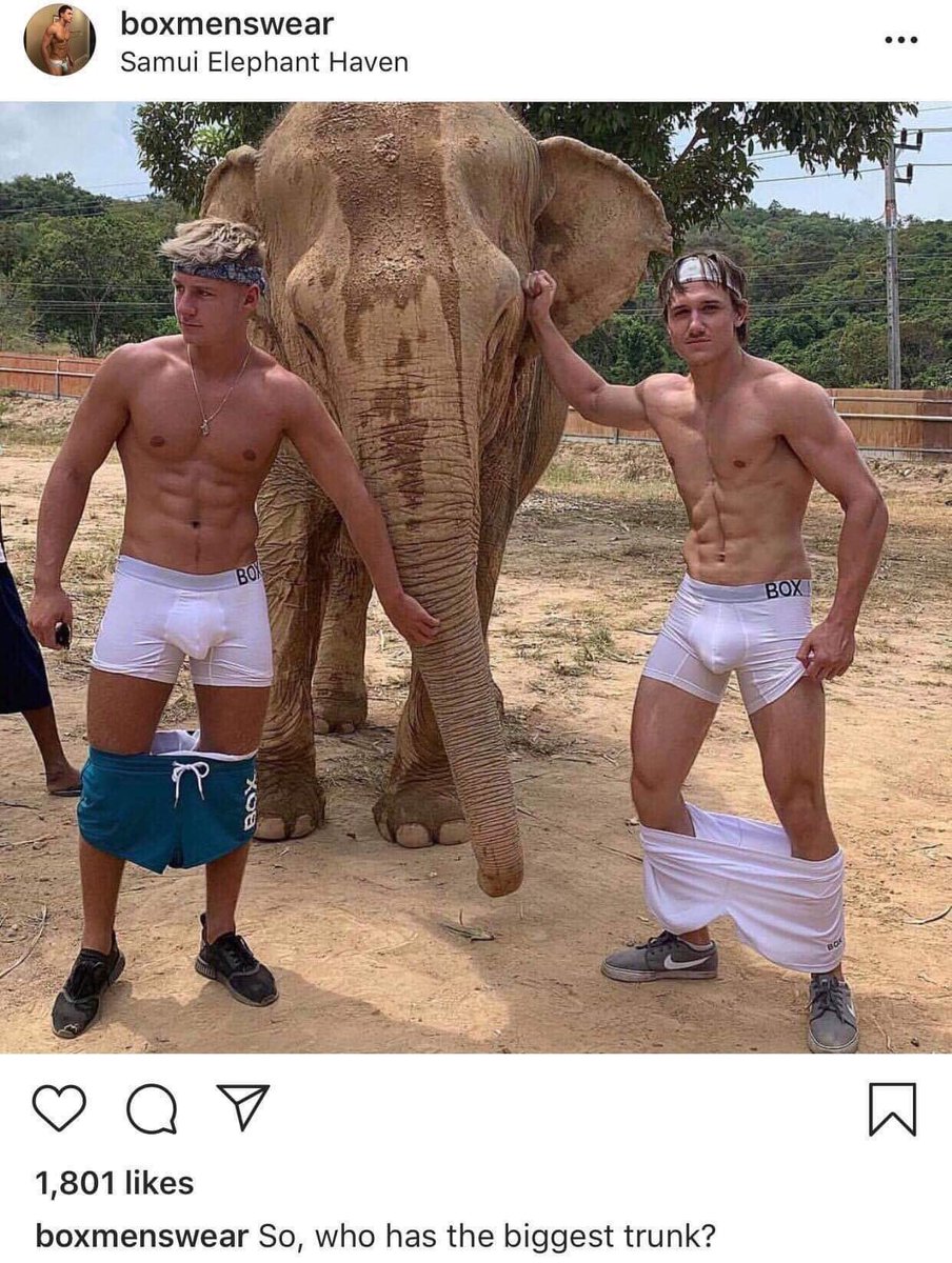 BelyndaZ's tweet photo. .@BoxMenswear are being cyber bullied by #animalrights activists for taking this photo.  #Stopbullying! the #elephant is blind, she wasn’t offended by these small #trunks!  ;) #Boxmenswear #AWnotAR 
(#AR #cultofcrazies and #Hypocrites) https://t.co/iUf9TMzMIa
