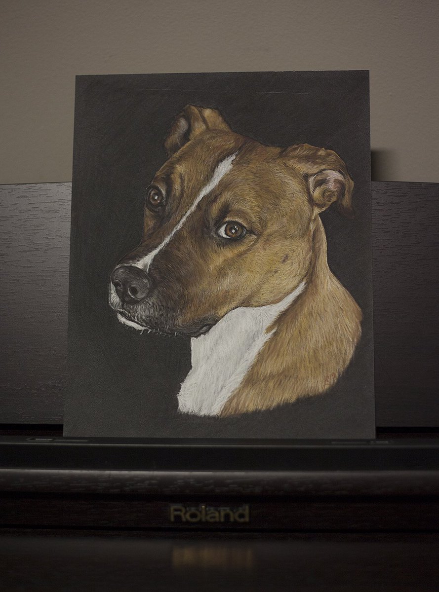 merineider's tweet photo. This pupper appeared on the piece of cardboard while I was watch.. listening to @miggitymaan's stream last night. It was fun to draw and I really enjoyed the reactions as well. Luv u! https://t.co/4qirwt1bAB