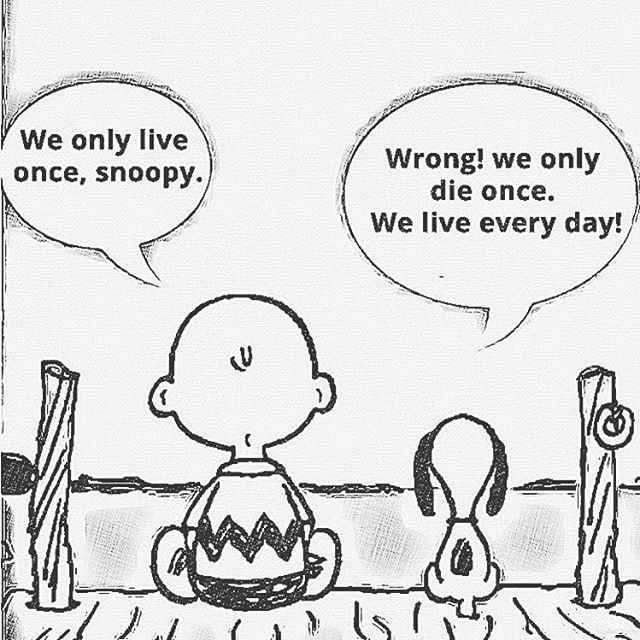CTravell's tweet photo. What are you going to do whilst you are living? https://t.co/0bprHpP9F0 https://t.co/ggnGtvhmuU