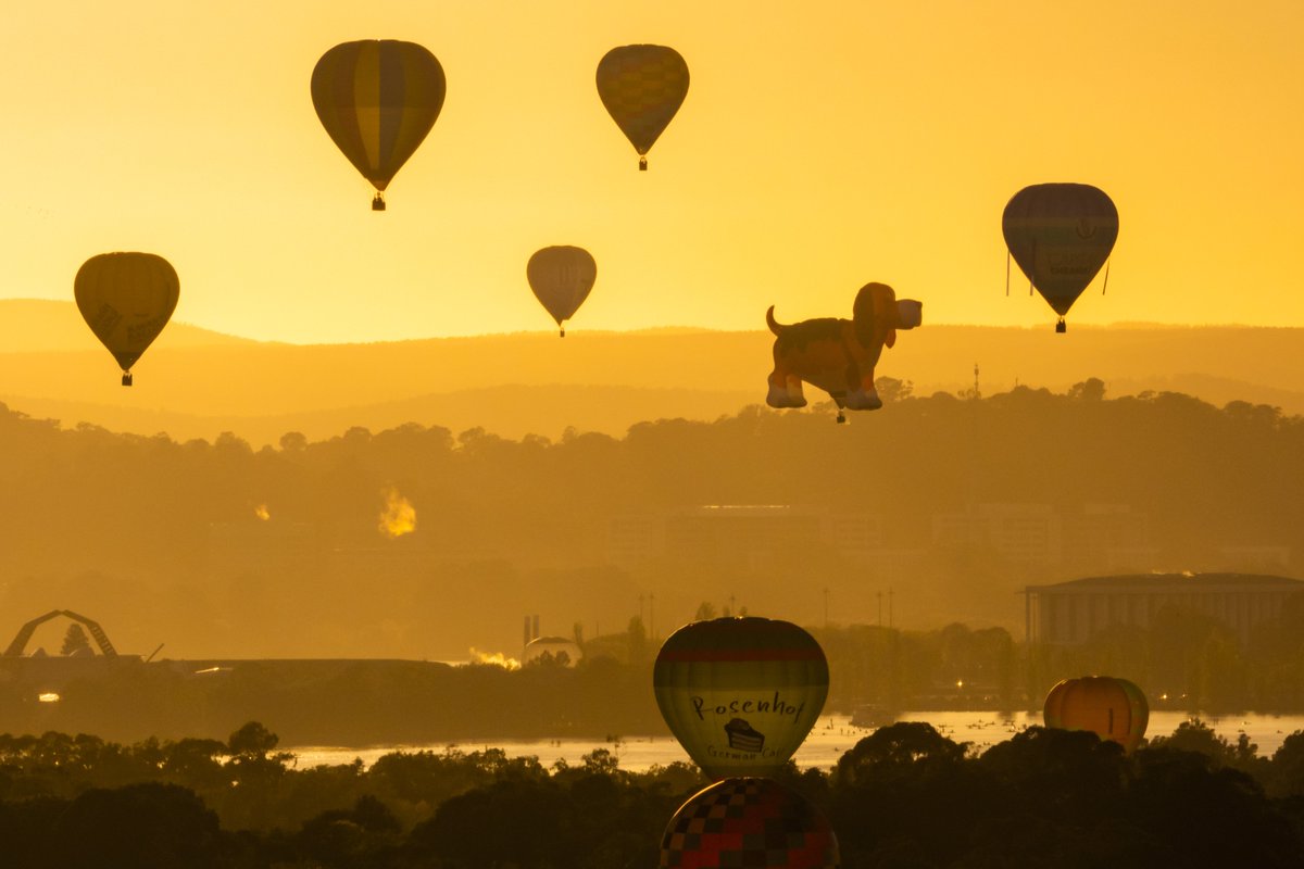Happy Canberra Day! - Balloons filling the sky this morning #canberra #cbr #balloons #australia #seeaustralia #enlightenfestival @BalloonCanberra
